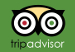 logo Tripadvisor page Paradiso